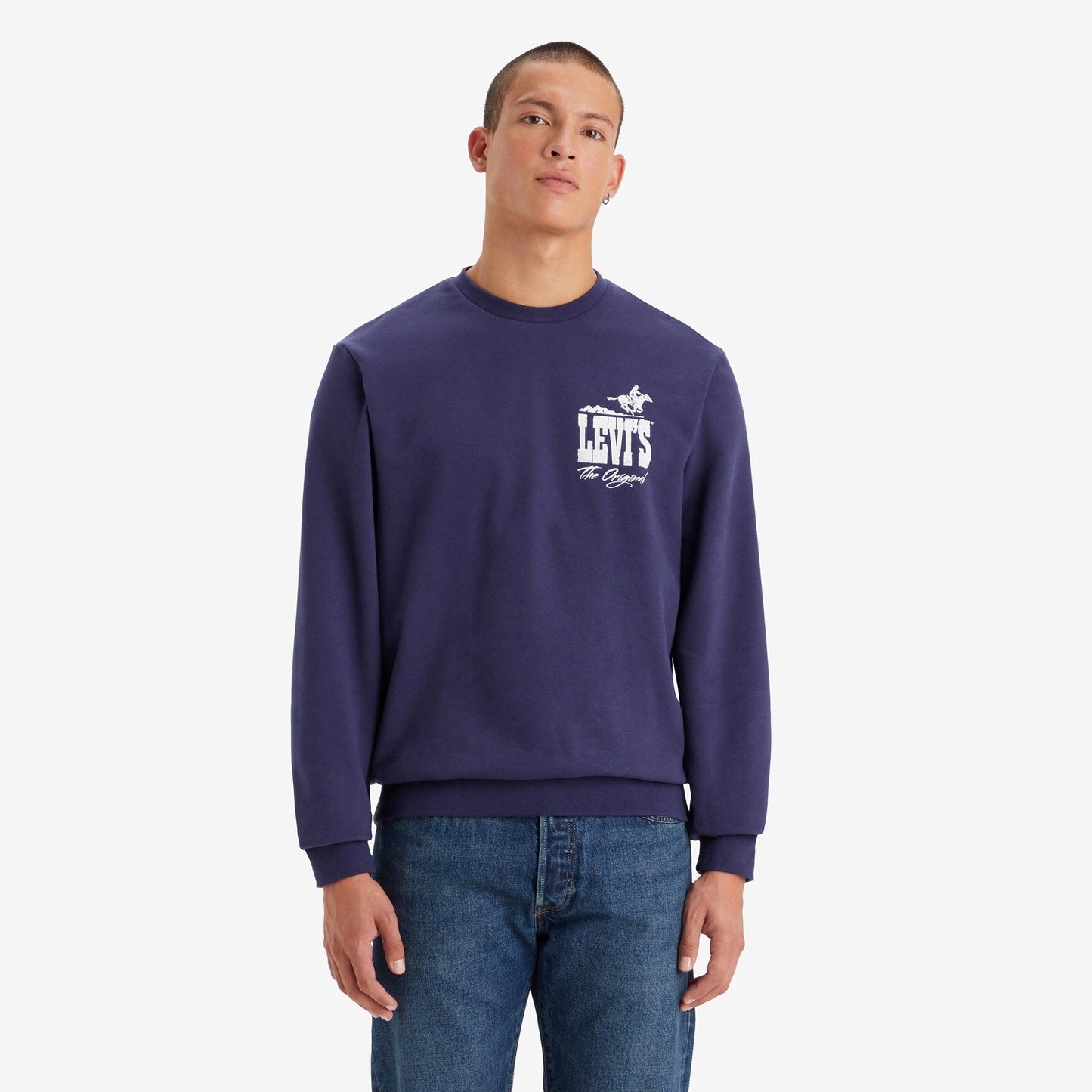 STANDARD FIT GRAPHIC CREWNECK SWEATSHIRT - BLUE