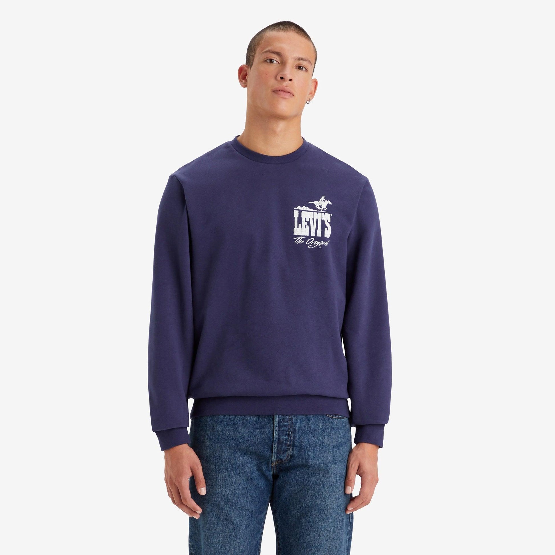 STANDARD FIT GRAPHIC CREWNECK SWEATSHIRT - BLUE